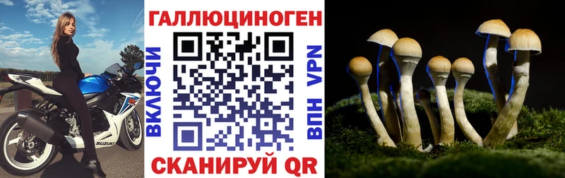 Купить где  Заозёрный  Галлюциногенные грибы GOLDEN TEACHER 